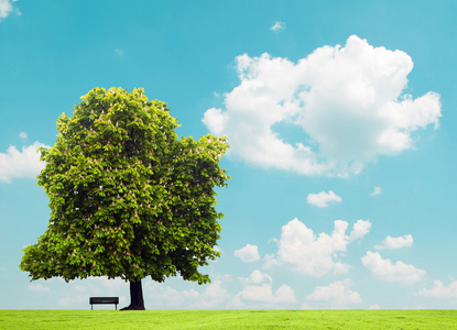 草甸和视图美丽的绿色领域和空台-peacuful 横向视图照片