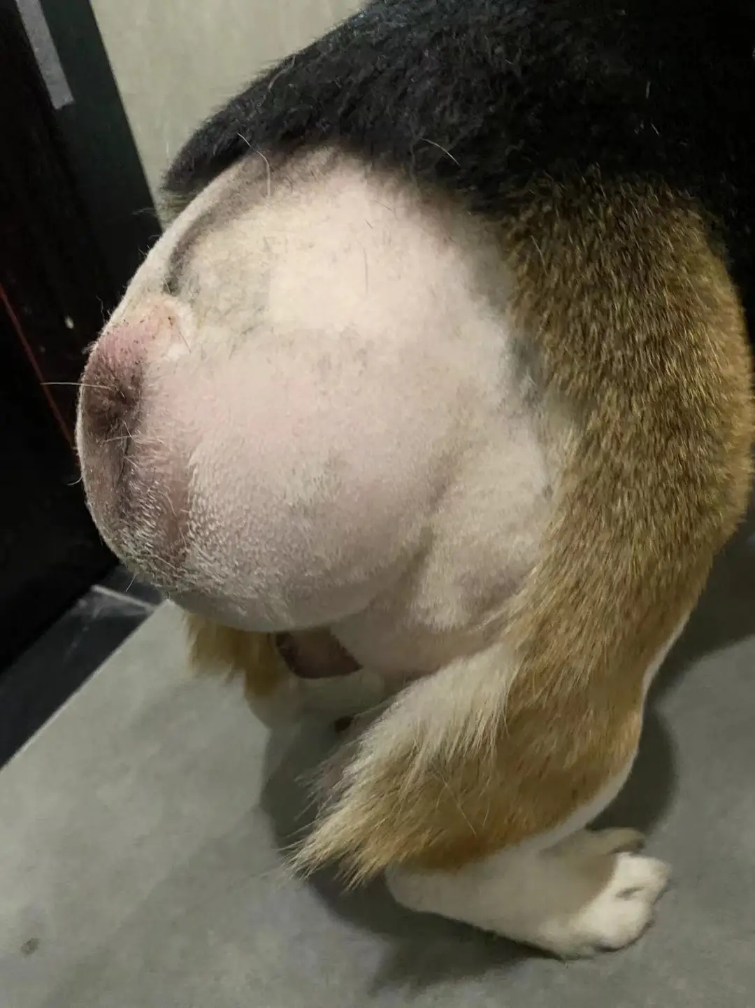 临床_手术_治疗