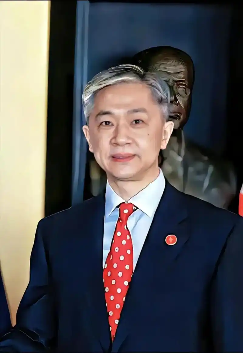 陌上人如玉,公子世无双.#中国外交官 #中国外交 #汪文斌 - 抖音