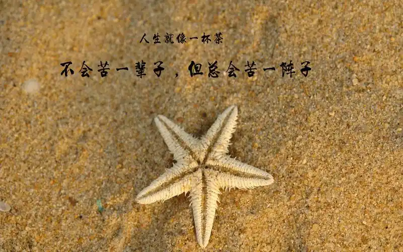 2013人生哲理经典语录桌面壁纸