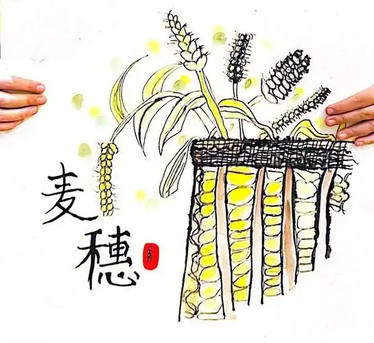 67岁创意画麦穗步骤图