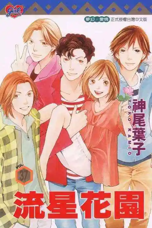 看那一场流星雨落在地球上