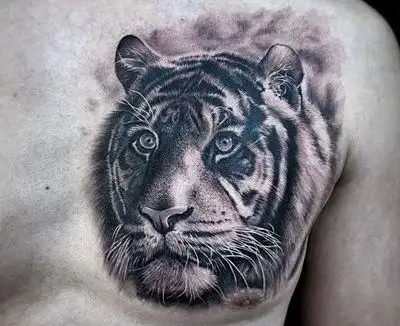 27张胸部胸口老虎纹身图案