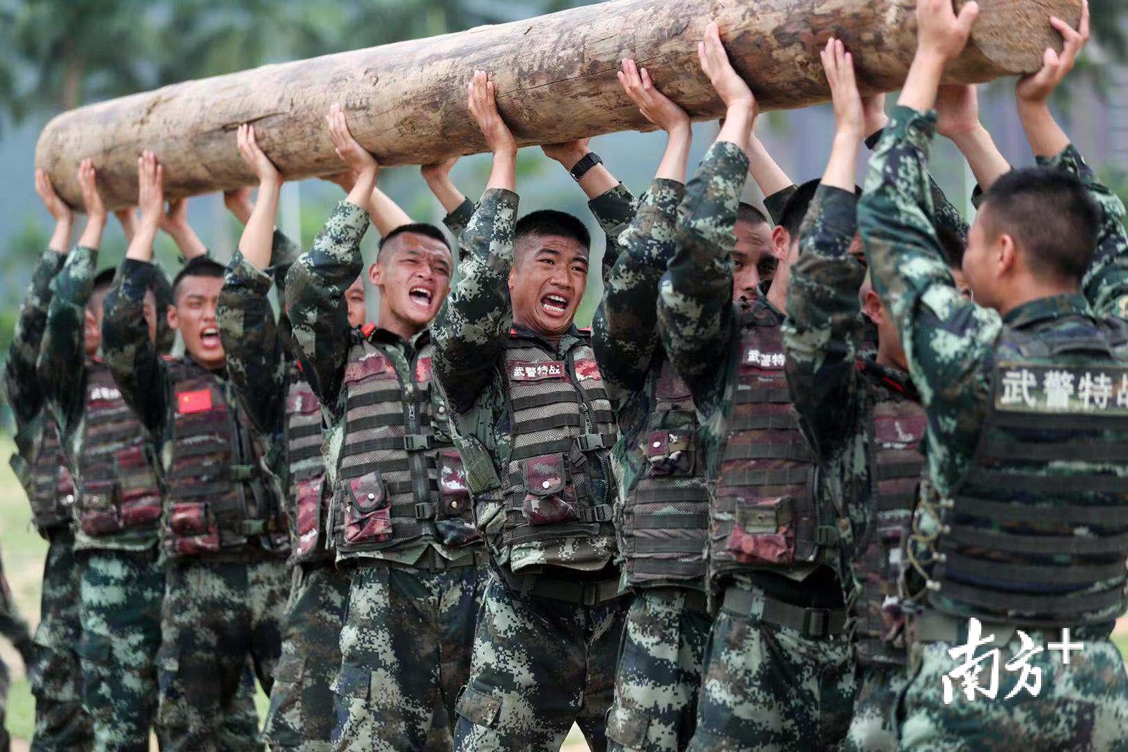 今年3月初,来自武警广东省总队各支队的数百名官兵齐聚在训练基地