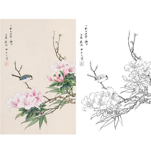 田世光工笔竖幅花鸟白描底稿sg25