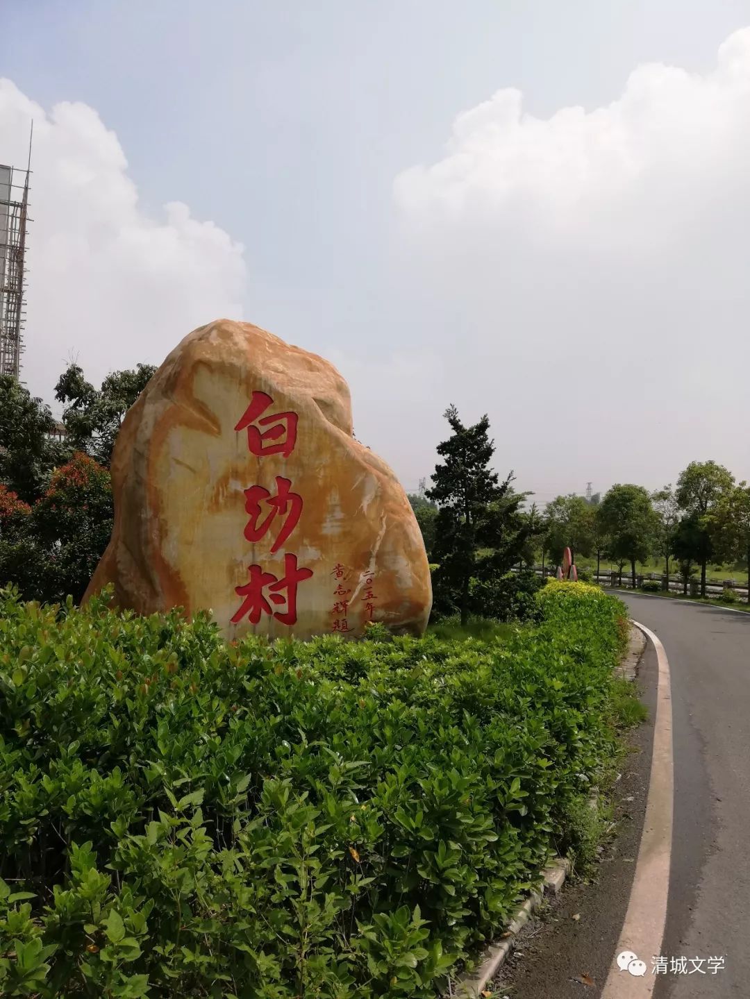 白沙村蝶变一个倾情乡村振兴的养鸡能手振兴乡村系列之二十二