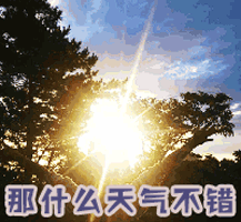 转移话题gif动图_动态图_表情包下载_soogif