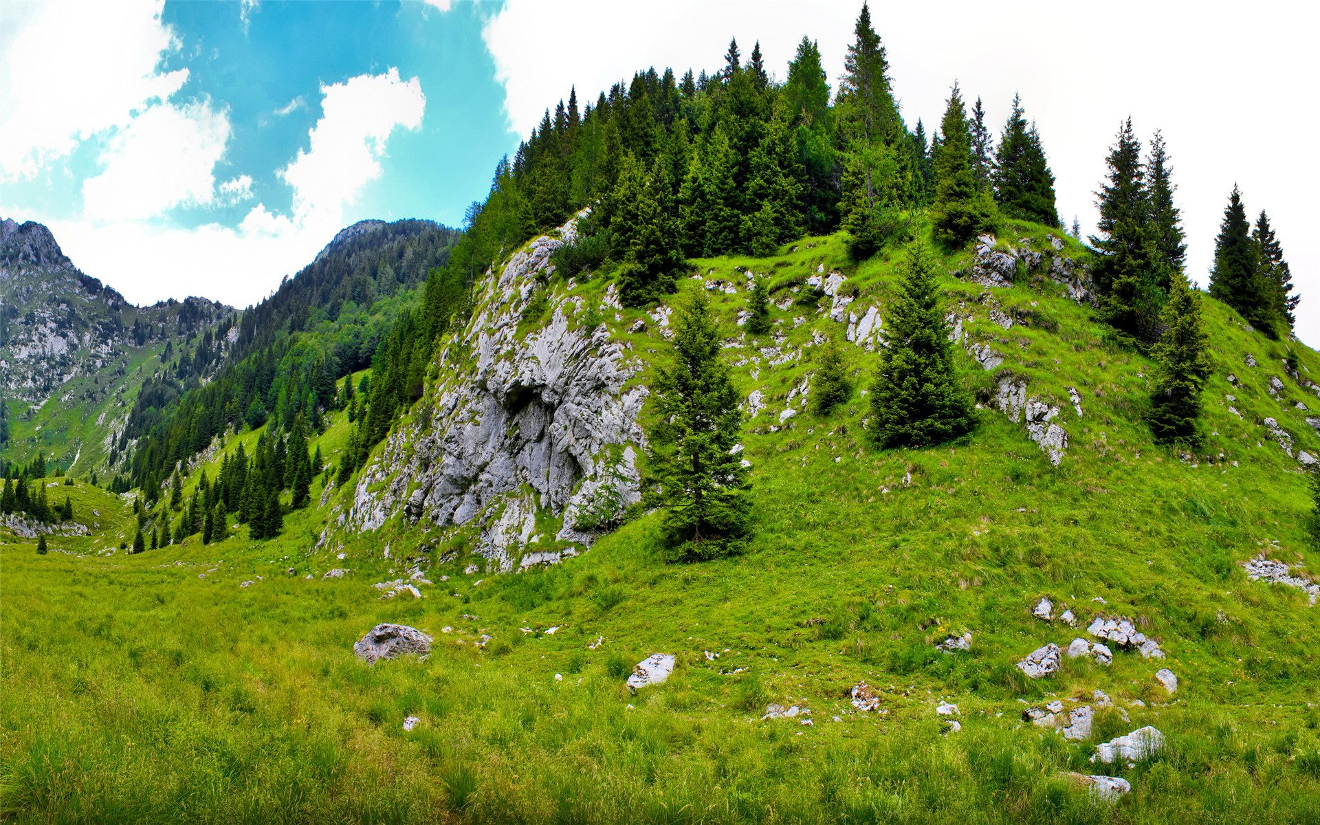 精选绿色护眼清新大自然高清风景素材图片电脑桌面壁纸下载第二辑