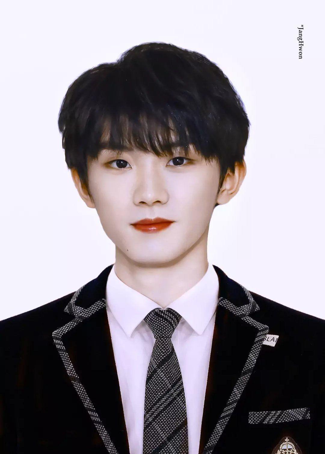 tnt时代少年团证件照 照片 无水印 - 知乎