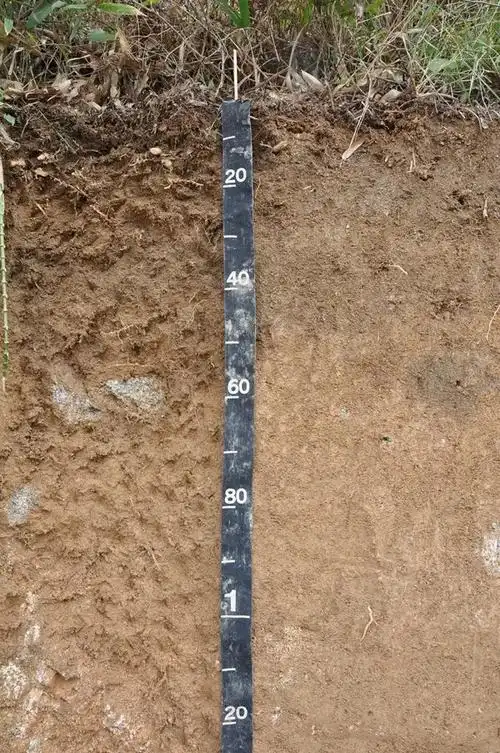 湖北天岳系土壤剖面