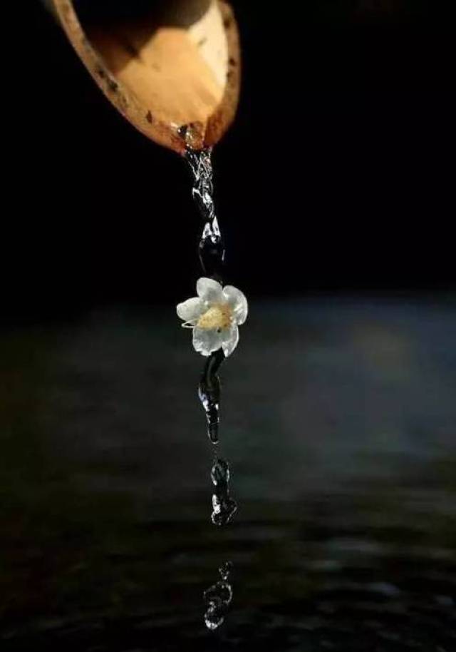 一颗平常心去淡然,一颗安静心去喜悦,平静地守候这个世界.