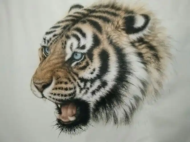 齐士方-课堂创作示范《工笔虎头》