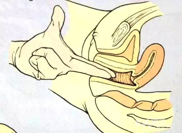 哇!原来开十指是开这么大