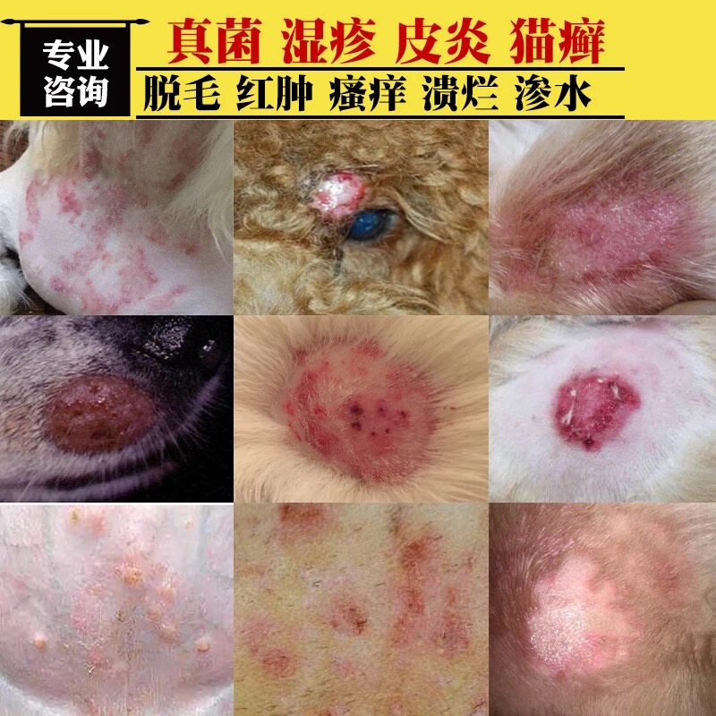 治疗狗狗皮肤病外用药膏湿疹性皮炎瘙痒真菌感染螨虫猫咪猫癣止痒