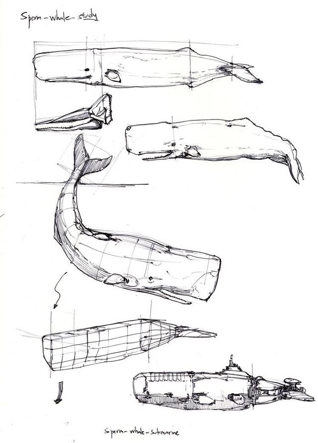 小设绘 | 非常有趣味的,动物仿生产品设计
