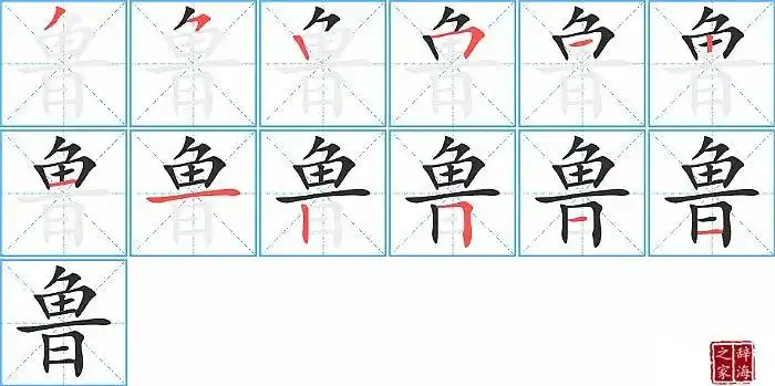 鲁的笔顺_笔画_鲁字怎么写_部首_笔划数查询