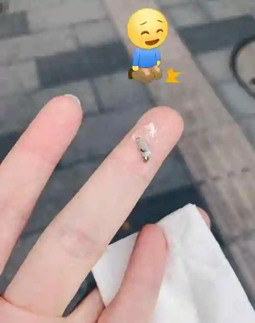 鸟粪掉在头上什么预兆( 鸟粪掉在头上什么预兆如何破解o e )