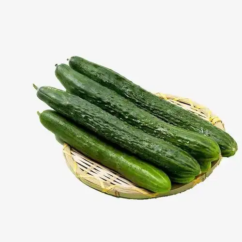 黄瓜实物png免抠