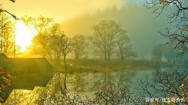 人生感悟唯美的句子,句句有意境,哪一句说到你心坎里了