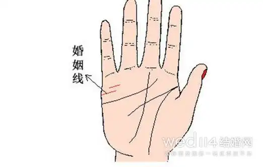 婚姻线怎么看 不同的婚姻线代表什么-扬州婚姻家庭-扬州今日头条-扬州
