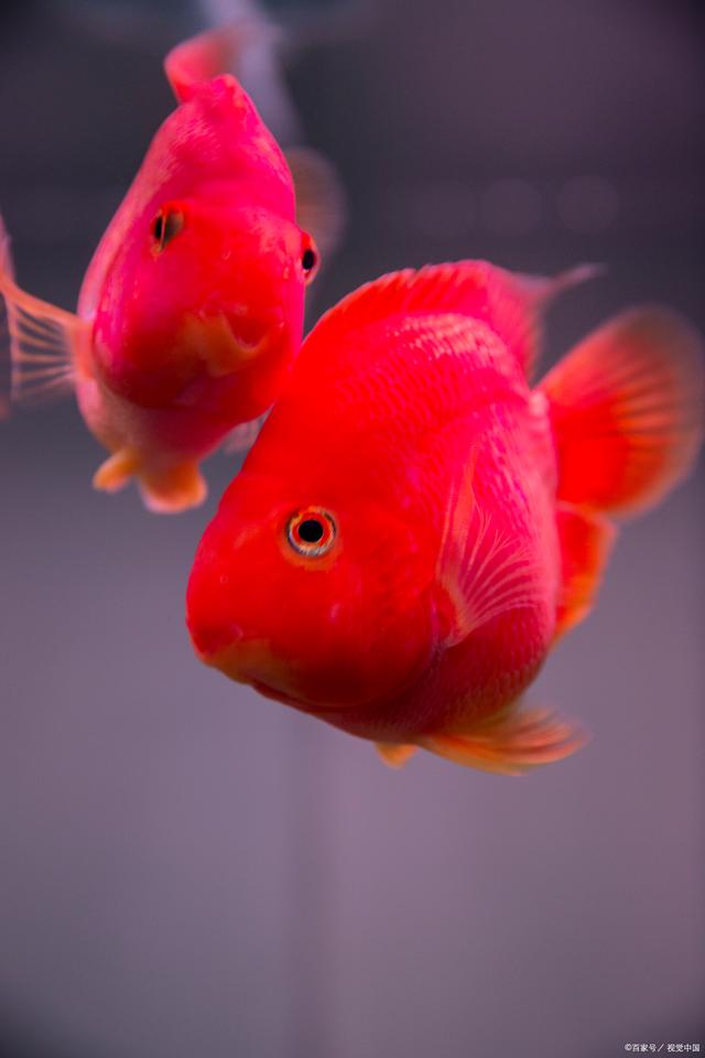 640_960竖版 竖屏