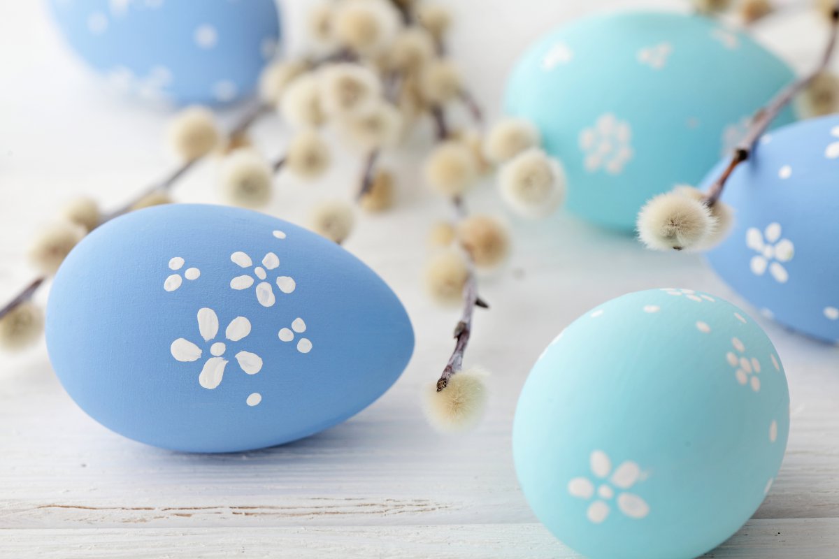 复活节蓝色的彩蛋5k图片,4k高清其它图片,娟娟壁纸