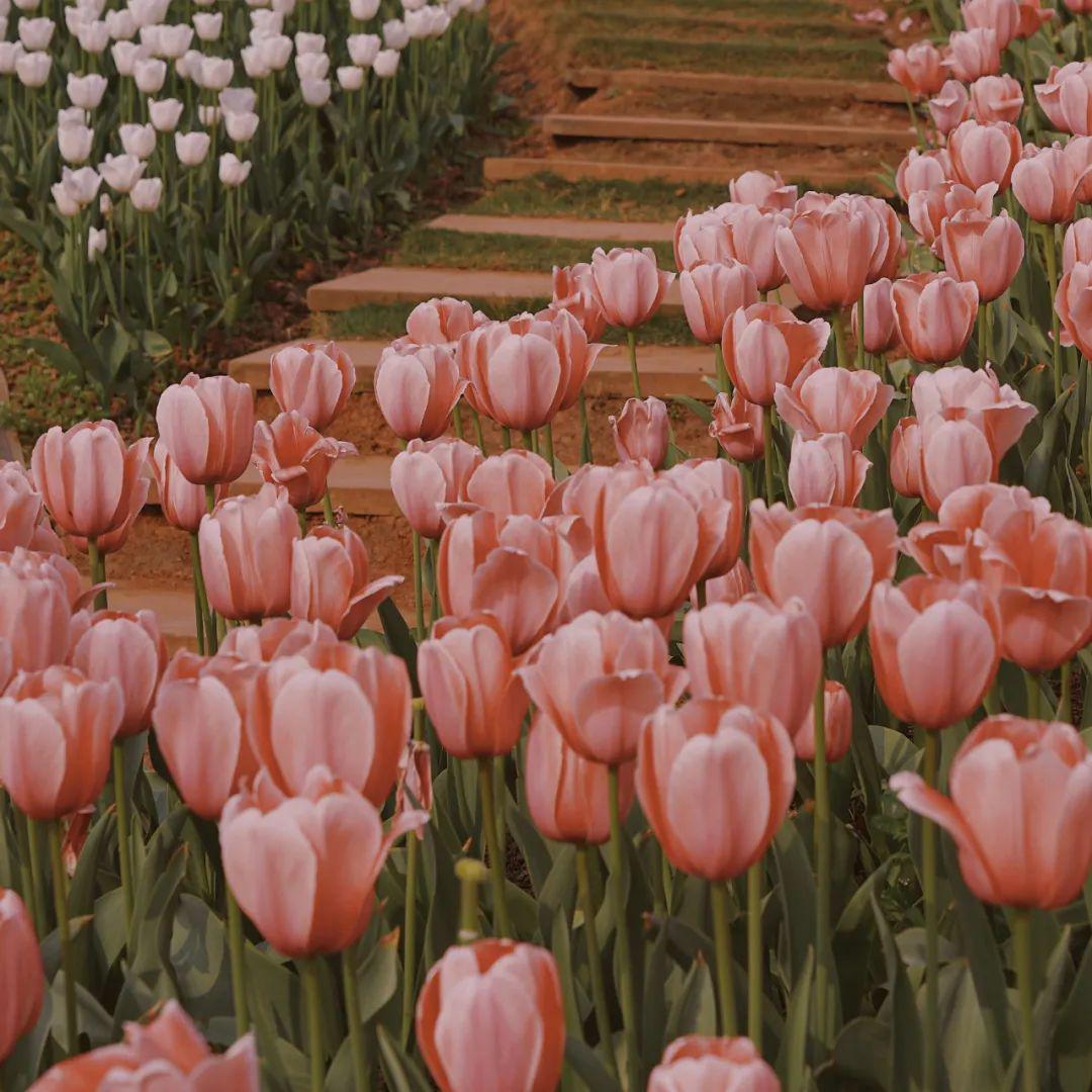 朋友圈背景图高清好看的微信封面图