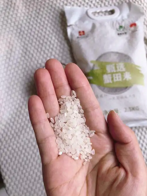 黑土地种植的东北大米真的绝绝子