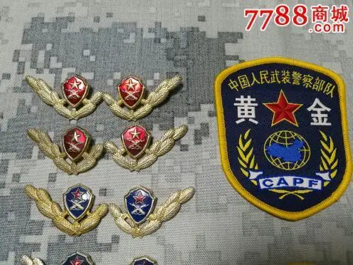 领花,臂章,帽徽一组,100一图-价格:100元-se45811773-老肩章/领章