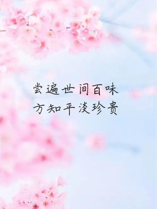 今日手写尝遍世间百味方知平淡珍贵