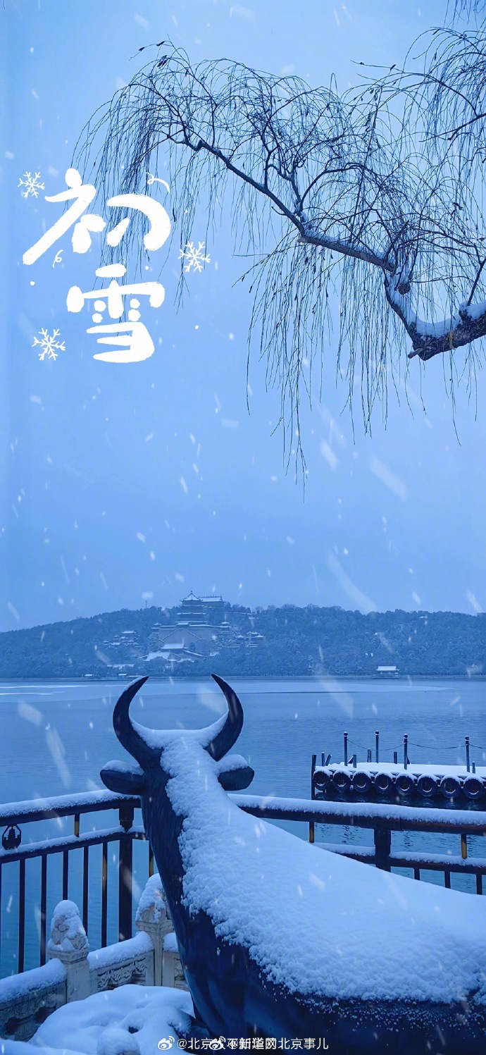 晒晒相册里的最美雪景##和下雪天最配的bgm##北京下雪
