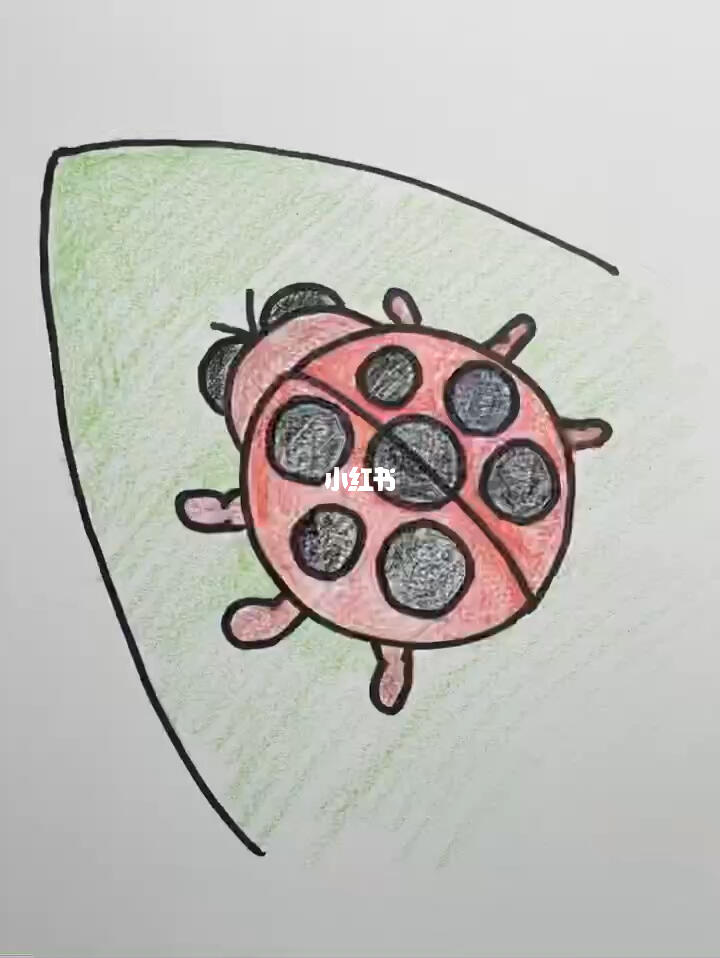 七星瓢虫简笔画