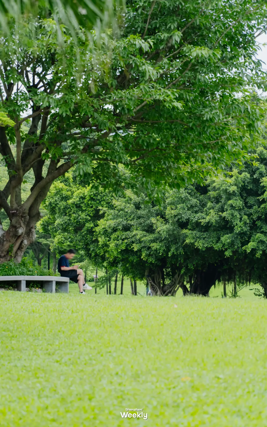 来深圳,来中山,寻找属于自己的「阿勒泰」