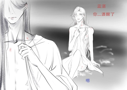 魔道祖师 浴桶 第三次醉酒 原.