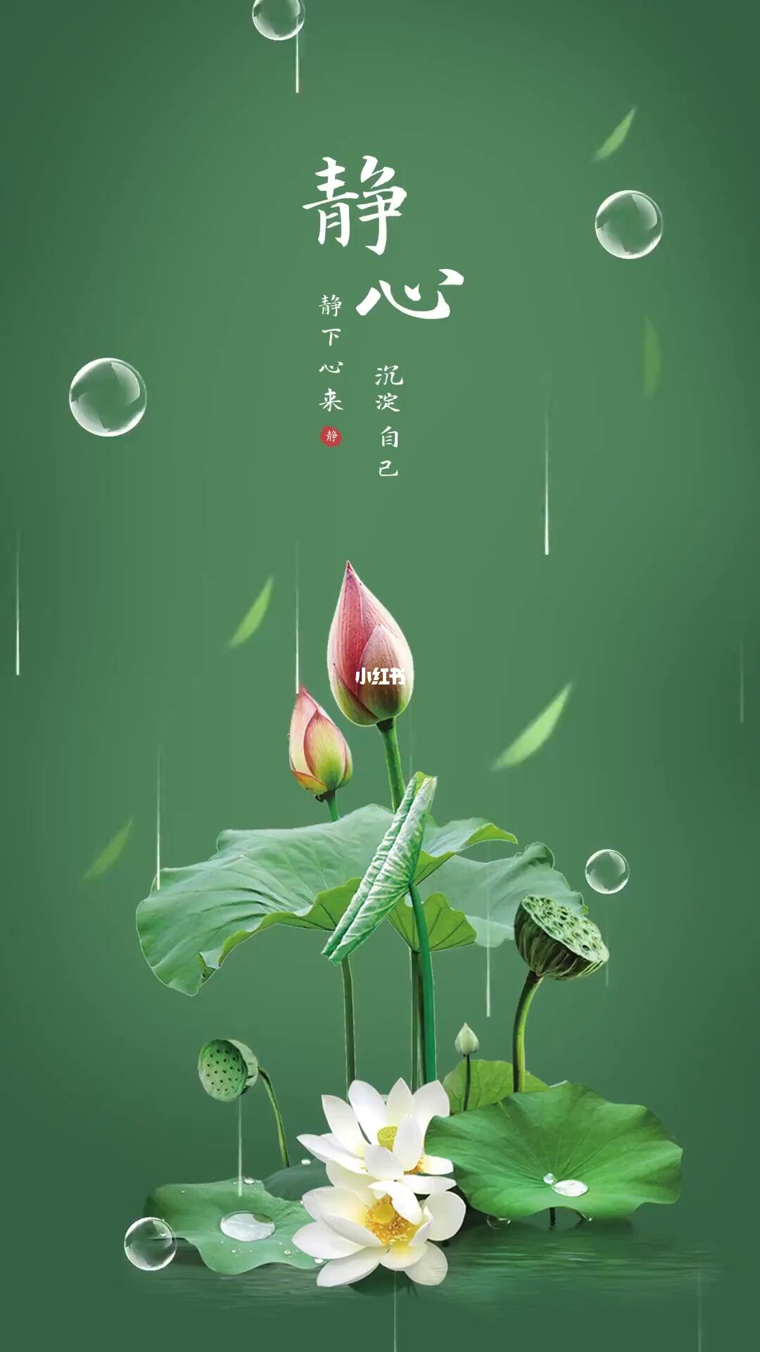 唯美意境  #静心冥想