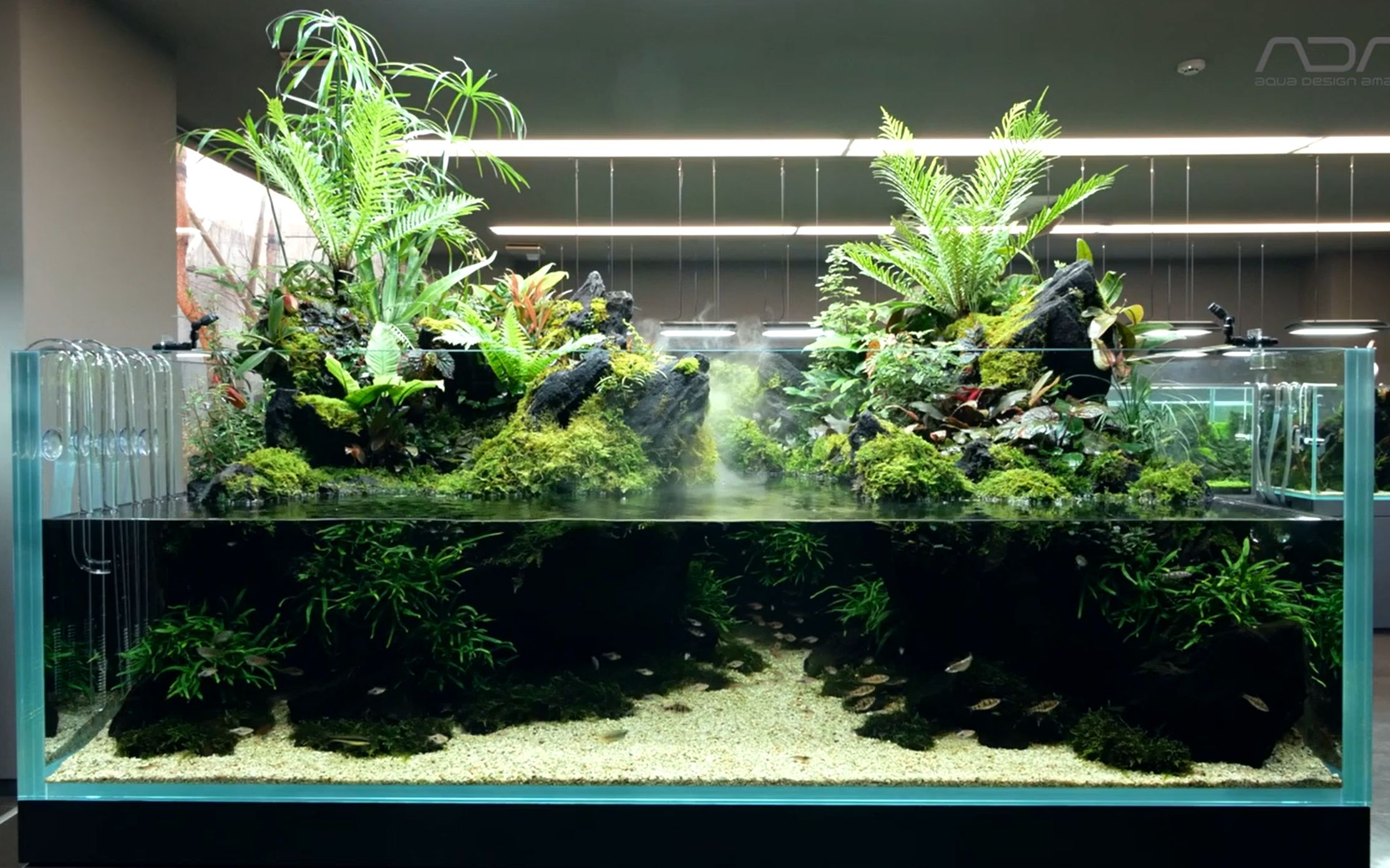 【水陆生态缸】ada180×120×60 水陆生态景观缸