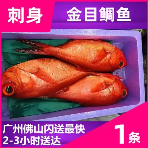 冰鲜金目鲷鱼刺身料理深海红鱼海新鲜海鱼红鱼三文鱼