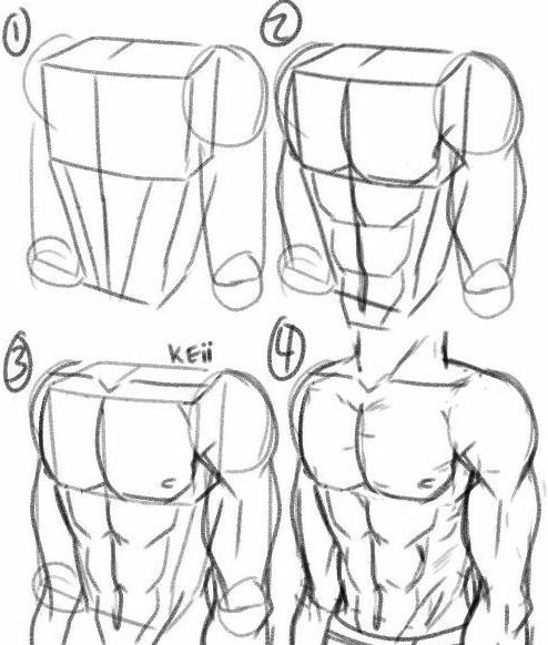 大饱眼福一大波男生的腹肌绘画参考集美萌赶紧画个男朋友啊