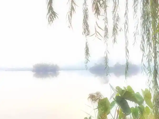 诗情画意淡雅悠远