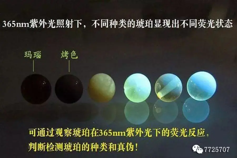 7张图片教会你,"紫光灯"鉴别琥珀真假的方法!