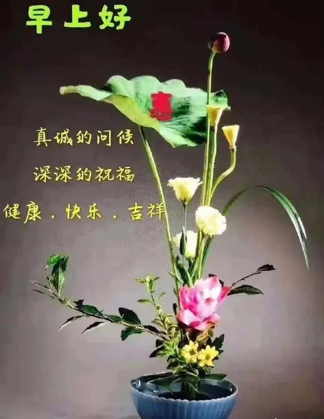 最新版早上好问候语句,早晨好祝福图片表情带字