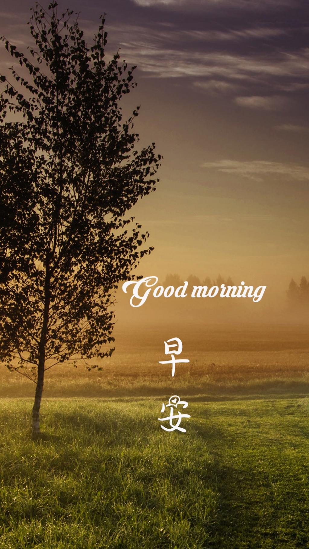 早安美好的清晨,高清图片,手机锁屏桌面-壁纸族