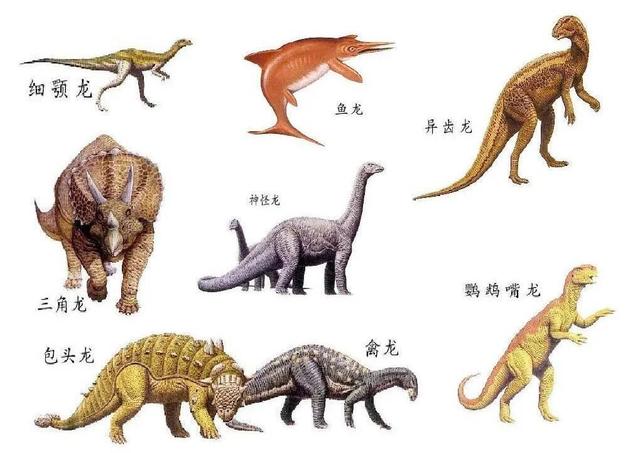 讲真你们知道孩子为什么这么喜欢恐龙么答案让人惊喜