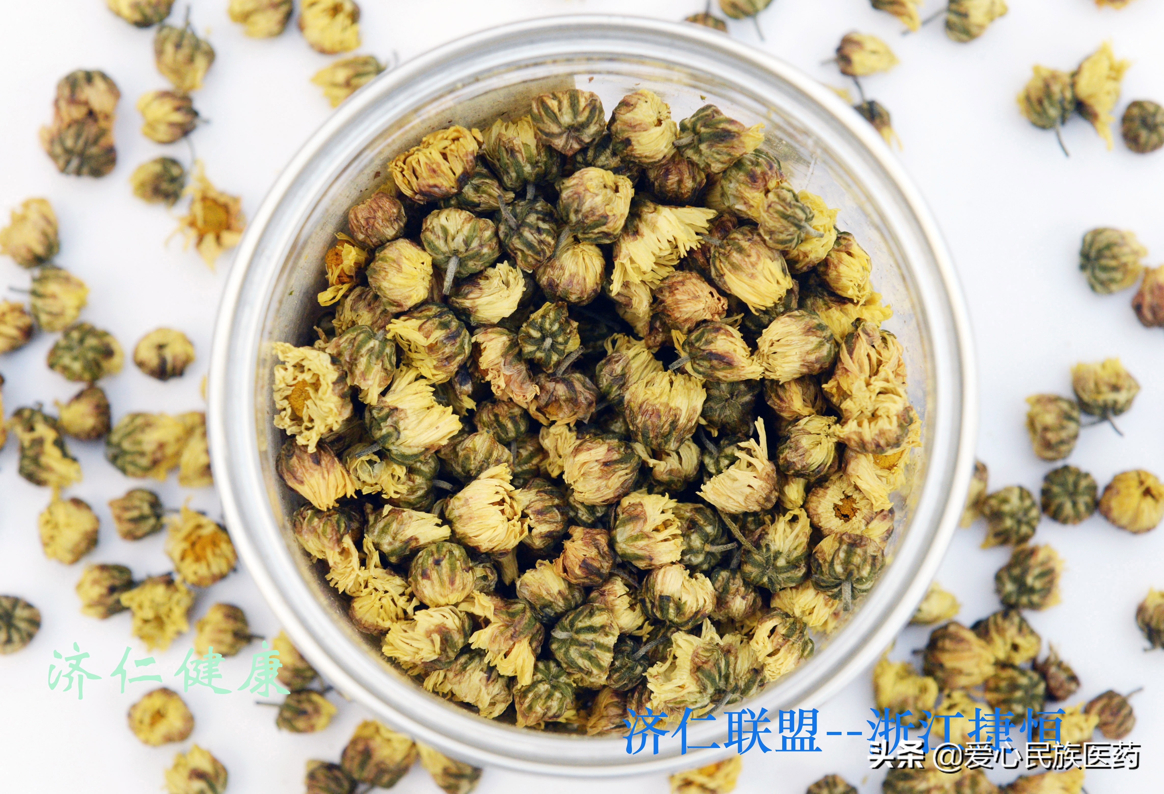 金丝皇菊的功效与作用(胎菊的功效与作用)