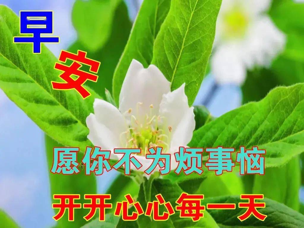 10月24日最漂亮早上好动态表情图片大全秋天早安问候美图大全