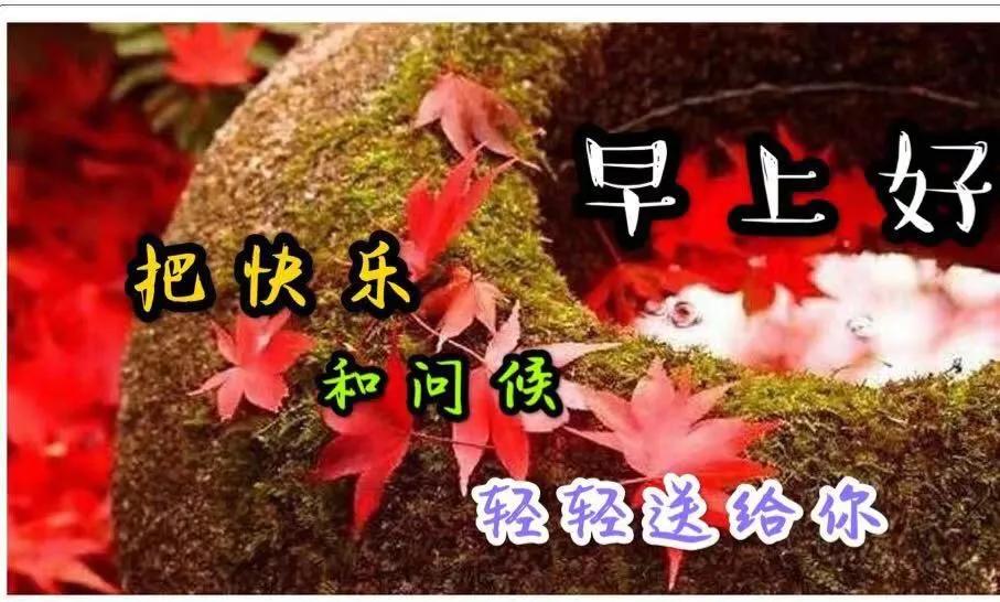 原创2021年最新早上好问候动态图带字 最美早安问候图片带字温馨