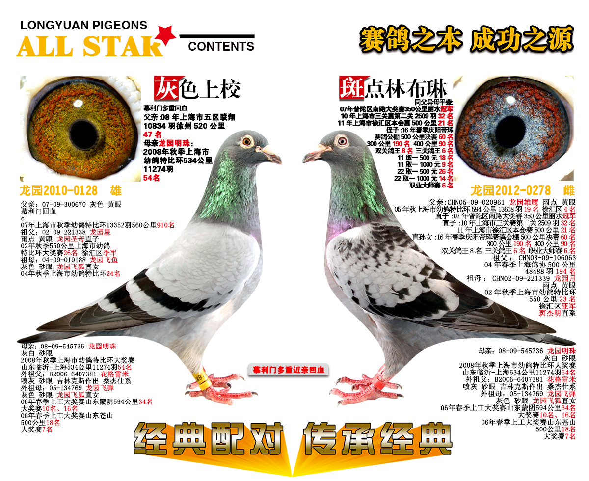 慕利门经典配对