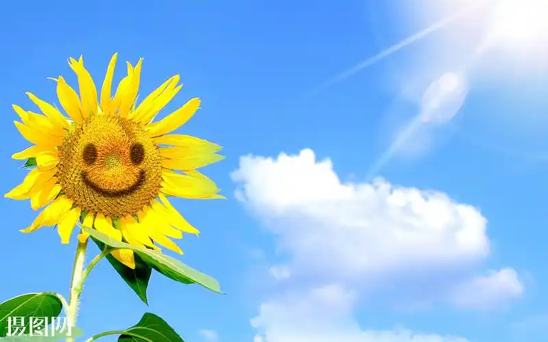 [转] 微笑的人,最美