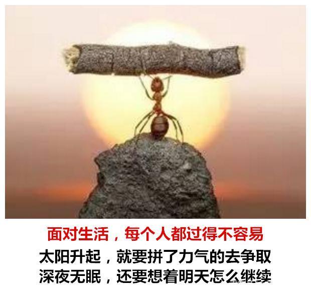 生容易,活也容易,生活却真的不易