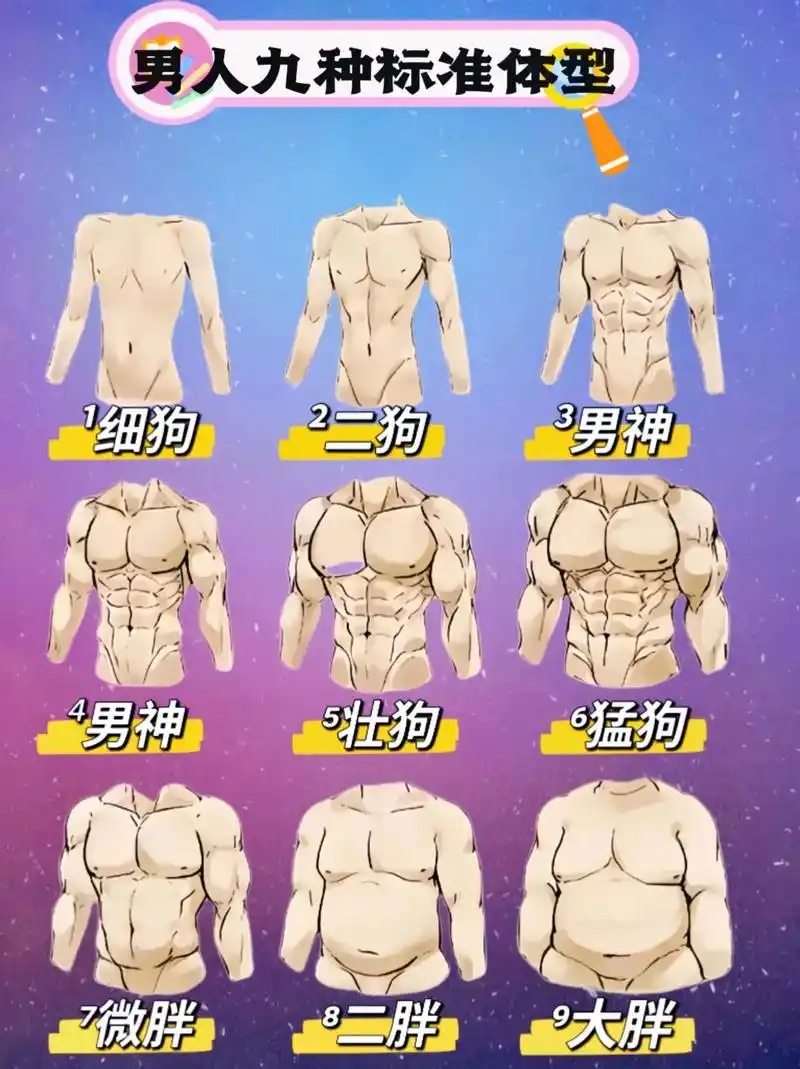 男人九种标准体型,我喜欢①个你喜欢第几.#图文伙伴计划 集美 - 抖音